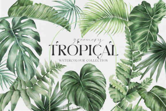 Download Tropical Greenery Jungle Rainforest PNG - Green Collection