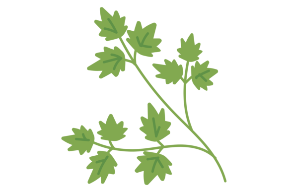 Download Parsley Icon. Green Cooking Ingredient. - Green Collection
