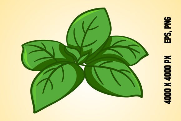 Download Fresh Green Basil Leaves - Green Collection