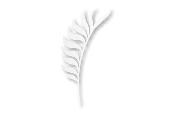 Download Jungle Tree Leaf White Paper Botany Elem - Paper Collection